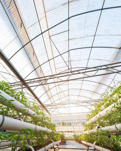 Innovations in Greenhouse Panels: Enhancing Plant Growth with Advanced Materials